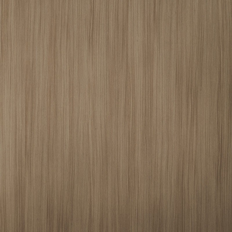 7161 橄欖紅豆杉-F